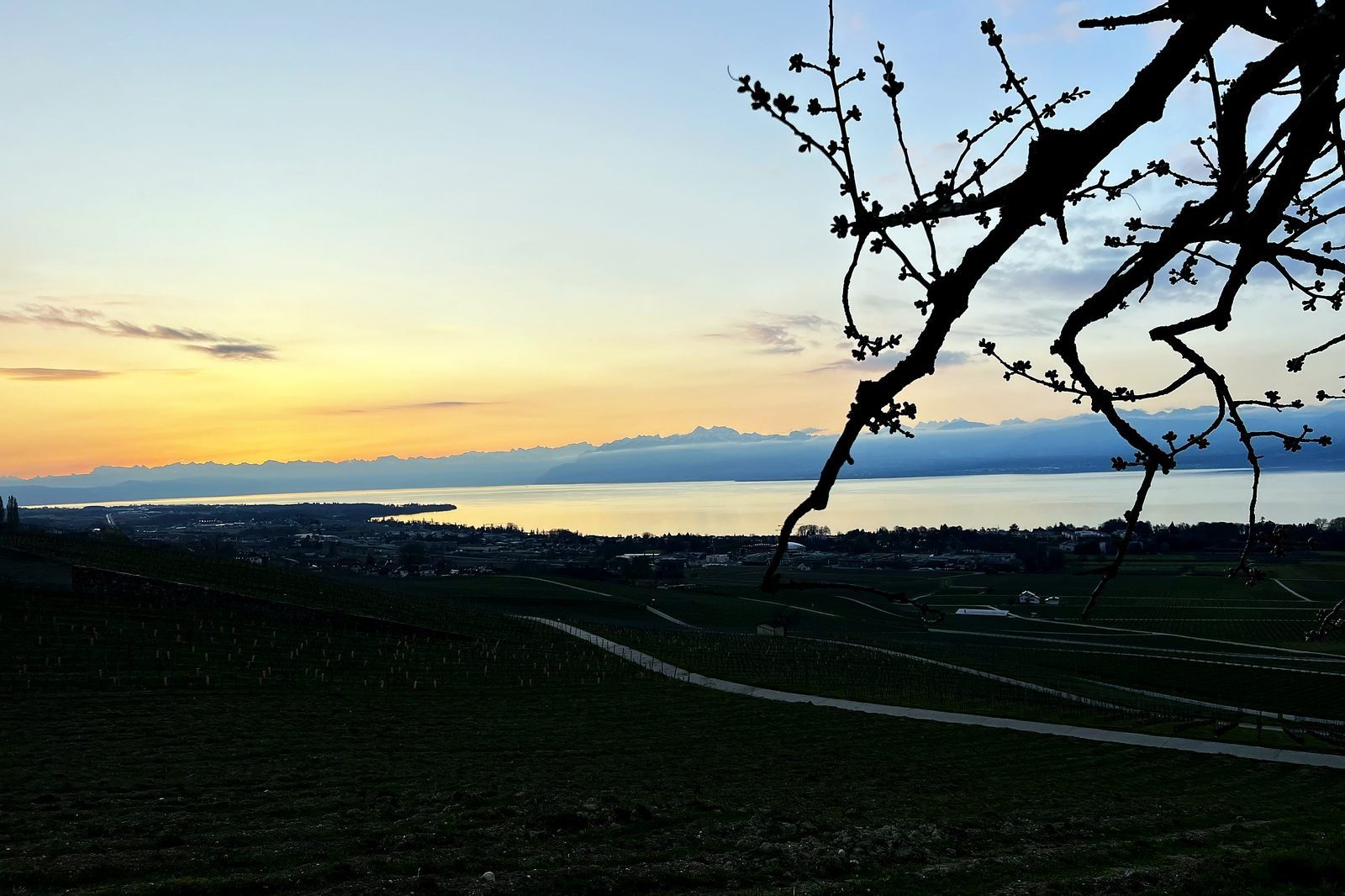 Crépuscule sur le vignoble de La Côte et le Léman, depuis Gilly